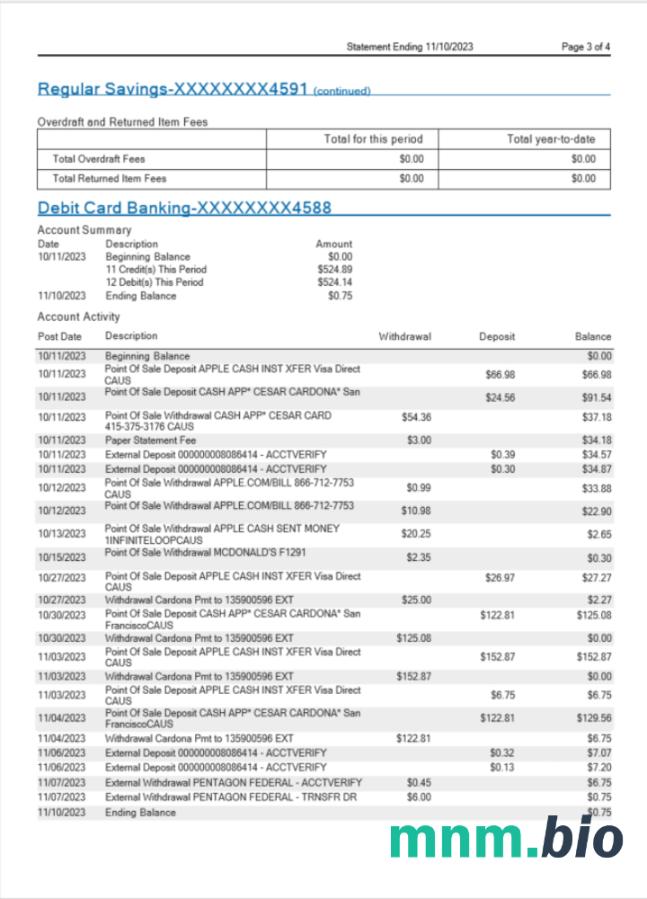 USA MidFlorida wyciąg bankowy szablon Worda i PDF, 3 stronas 1-2